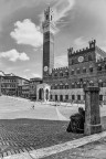 Contemplazione Contemplazione