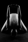 Omaggio ad Howard Schatz Omaggio ad Howard Schatz