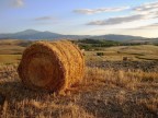 Campagna di Pienza Campagna di Pienza
