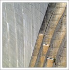 quando si dice che l'erba cresce dappertutto... quando si dice che l'erba cresce dappertutto...