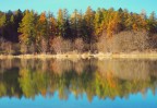 Autunno a specchio