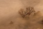 nella nebbia