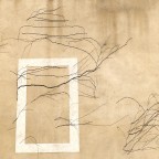 Radici irriducibili Radici irriducibili