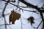 Autunno