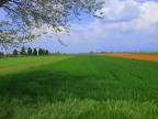 I colori della campagna. I colori della campagna.