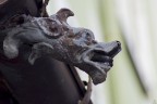 gargoyle gargoyle