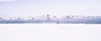 Whiteout (circa) Whiteout (circa)