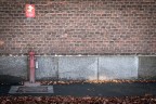 urban #194