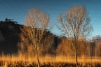 riflessi