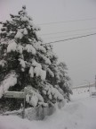 Nevicata del 26/27gennaio 2006
