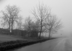 Nella nebbia 2 Nella nebbia 2