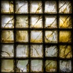 Vetrocemento Vetrocemento