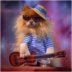 Follie di Carnevale Follie di Carnevale