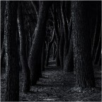 Ispirandomi impropriamente a Michael Kenna Ispirandomi impropriamente a Michael Kenna