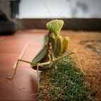 Piccoli incontri Piccoli incontri