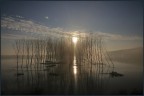 RESILIENZA RESILIENZA