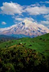 Taranaki Taranaki