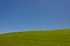 c'è sempre qualche palo c'è sempre qualche palo