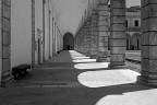 Certosa di Padula 1 Certosa di Padula 1