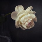 Un Cuore, Un Anima Un Cuore, Un Anima