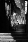 Ombre e Passi Lenti Ombre e Passi Lenti