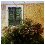 Fiori e finestra Fiori e finestra