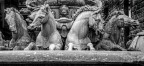 I cavalli di Firenze