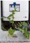 Energia verde Energia verde