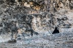 Terra di Oman