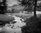 Intrepid 4x5 | Fomapan 100 Intrepid 4x5 | Fomapan 100