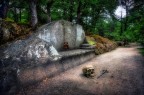 certe volte a Bomarzo... certe volte a Bomarzo...