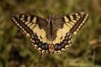 Macro_14Set2025_2 Macro_14Set2025_2