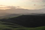 solitario... solitario...