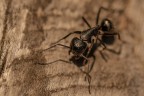 Macro_14Set2025_10 Macro_14Set2025_10