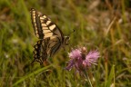 Macro_14Set2025_9 Macro_14Set2025_9