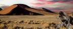 I deserti del Namib