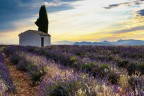 Ruderi in Provenza