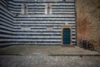 piccione e bici piccione e bici
