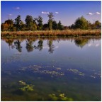 Vicenza. Prima visita al nuovissimo Parco della Pace, spazio di uso pubblico di 65ettari. Al limite settentrionale della citt, nella sede del dismesso aeroporto. Ottobre 2025