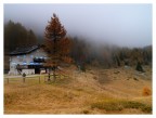 Al Rifugio Vincenzo Lancia all'Alpe Pozza Al Rifugio Vincenzo Lancia all'Alpe Pozza