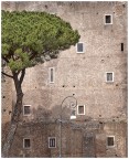 Torre dei Conti Torre dei Conti