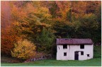 casupola diroccata nell'autunno casupola diroccata nell'autunno