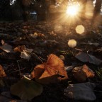 Ultimi raggi Ultimi raggi