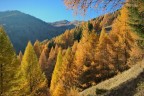 Autunno Autunno