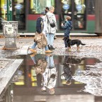 aspettando...il verde aspettando...il verde