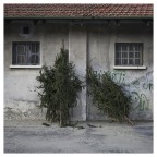 Verde Natale Verde Natale