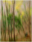nel bosco nel bosco