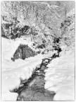 torrentello nel gelido invernale torrentello nel gelido invernale