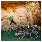 esercizio di arrampicata in libert�