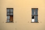 urban #226 urban #226